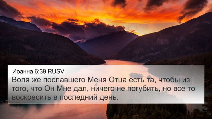 Иоанна 6:39 RUSV Bible Verse Image