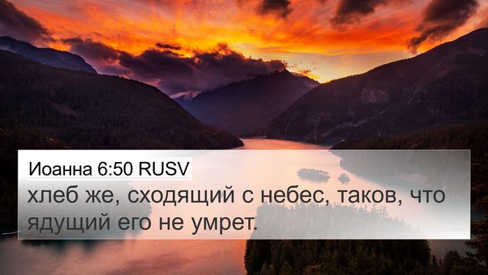 Иоанна 6:50 RUSV Bible Verse Image