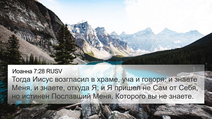 Иоанна 7:28 RUSV Bible Verse Image