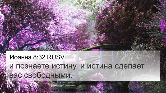 Иоанна 8:32 RUSV Bible Verse Image