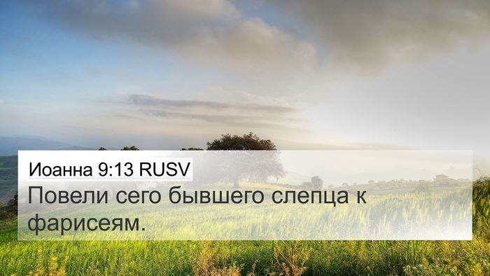 Иоанна 9:13 RUSV 4K Wallpaper - Повели сего бывшего слепца - 4K Wallpaper Bible Verse
