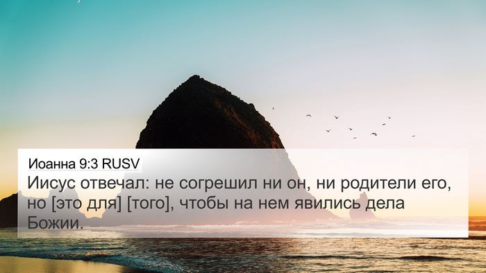 Иоанна 9:3 RUSV Bible Verse Image