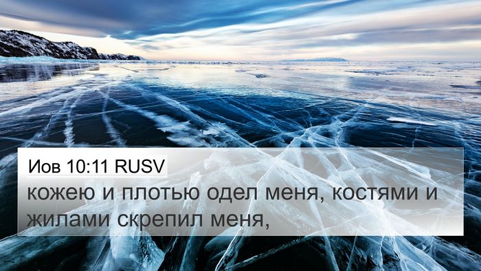Иов 10:11 RUSV 4K Wallpaper - кожею и плотью одел меня, - 4K Wallpaper Bible Verse