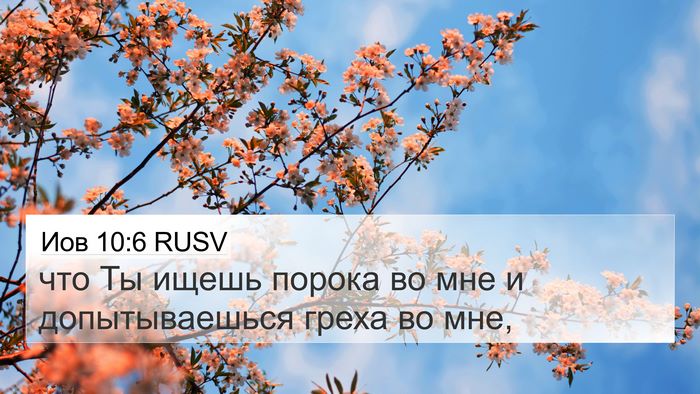 Иов 10:6 RUSV 4K Wallpaper - что Ты ищешь порока во мне - 4K Wallpaper Bible Verse
