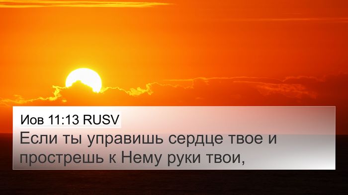 Иов 11:13 RUSV Bible Verse Image