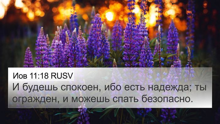 Иов 11:18 RUSV Bible Verse Image