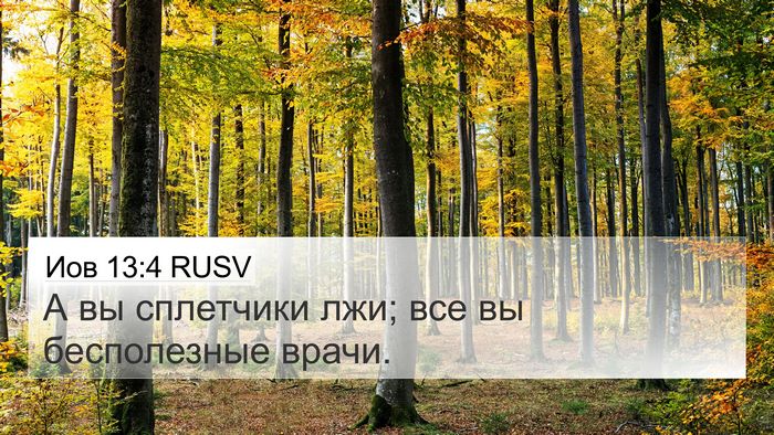 Иов 13:4 RUSV Bible Verse Image