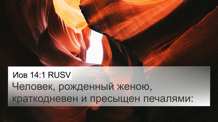 Иов 14:1 RUSV Bible Verse Image