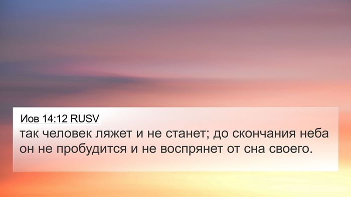 Иов 14:12 RUSV Bible Verse Image