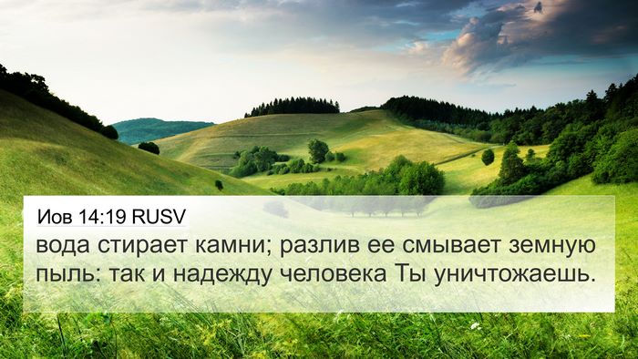 Иов 14:19 RUSV Bible Verse Image