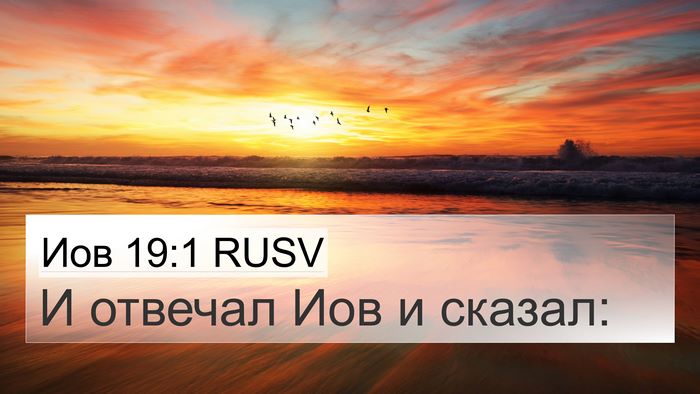 Иов 19:1 RUSV 4K Wallpaper - И отвечал Иов и - 4K Wallpaper Bible Verse
