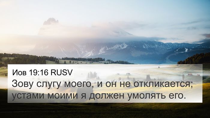 Иов 19:16 RUSV Bible Verse Image