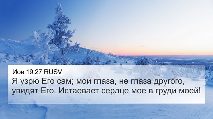 Иов 19:27 RUSV Bible Verse Image