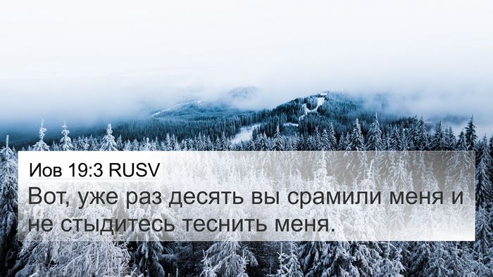 Иов 19:3 RUSV Bible Verse Image