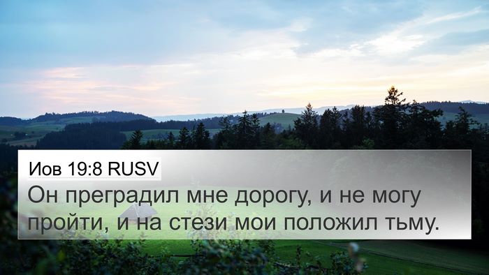 Иов 19:8 RUSV Bible Verse Image