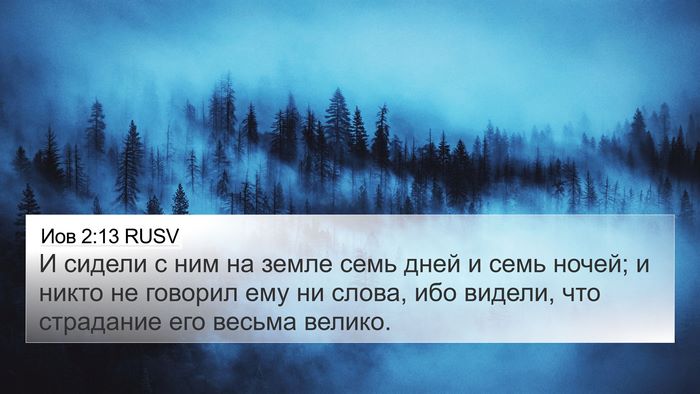 Иов 2:13 RUSV Bible Verse Image