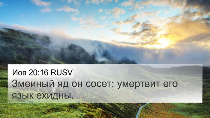 Иов 20:16 RUSV 4K Wallpaper - Змеиный яд он сосет; - 4K Wallpaper Bible Verse
