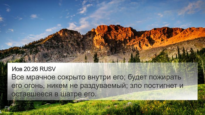 Иов 20:26 RUSV Bible Verse Image