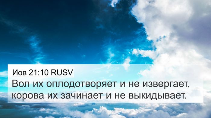 Иов 21:10 RUSV Bible Verse Image
