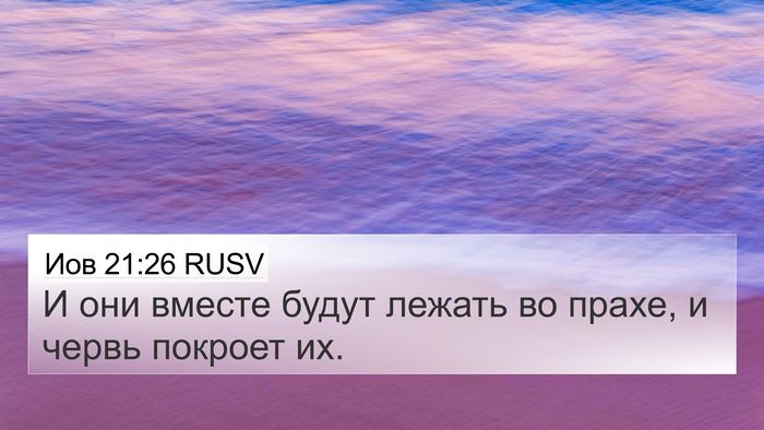Иов 21:26 RUSV 4K Wallpaper - И они вместе будут лежать - 4K Wallpaper Bible Verse