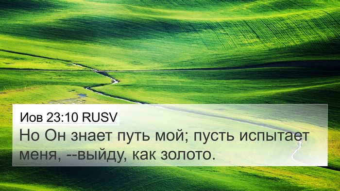 Иов 23:10 RUSV Bible Verse Image