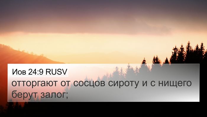 Иов 24:9 RUSV Bible Verse Image