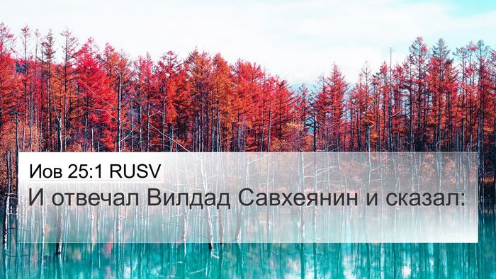 Иов 25:1 RUSV Bible Verse Image