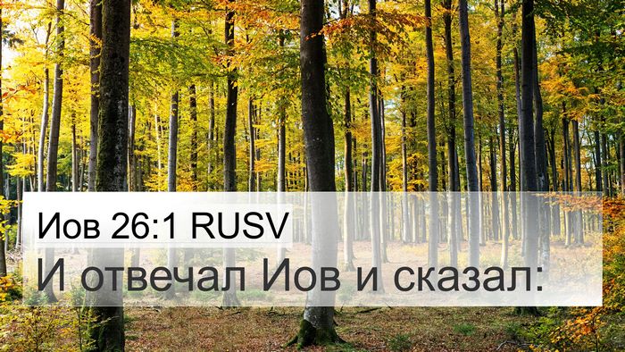 Иов 26:1 RUSV Bible Verse Image