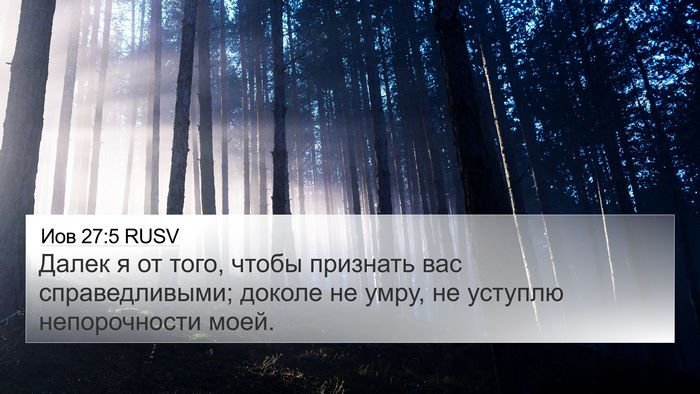 Иов 27:5 RUSV Bible Verse Image