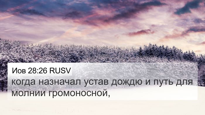 Иов 28:26 RUSV Bible Verse Image