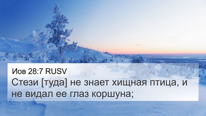 Иов 28:7 RUSV Bible Verse Image