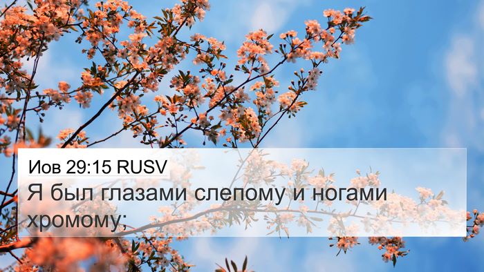 Иов 29:15 RUSV Bible Verse Image