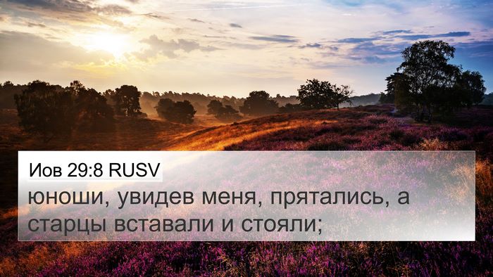 Иов 29:8 RUSV Bible Verse Image