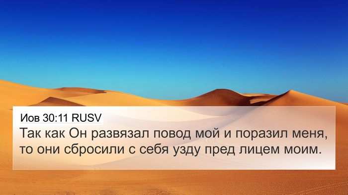 Иов 30:11 RUSV 4K Wallpaper - Так как Он развязал повод - 4K Wallpaper Bible Verse