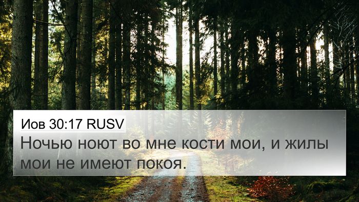 Иов 30:17 RUSV Bible Verse Image