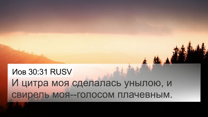 Иов 30:31 RUSV 4K Wallpaper - И цитра моя сделалась - 4K Wallpaper Bible Verse