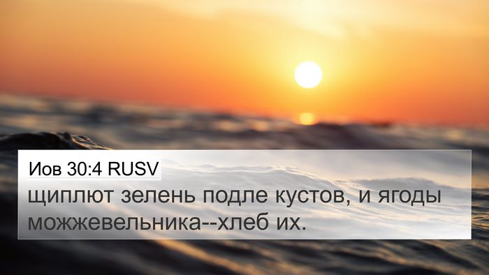 Иов 30:4 RUSV 4K Wallpaper - щиплют зелень подле - 4K Wallpaper Bible Verse