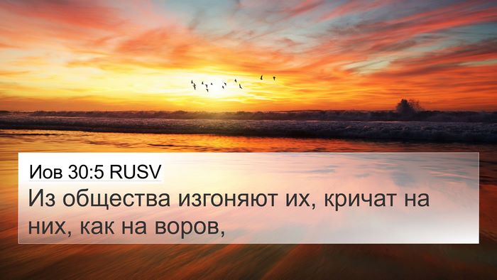 Иов 30:5 RUSV Bible Verse Image