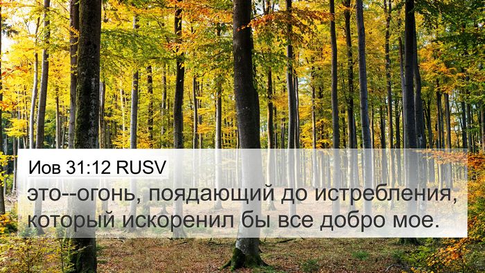 Иов 31:12 RUSV 4K Wallpaper - это--огонь, поядающий до - 4K Wallpaper Bible Verse