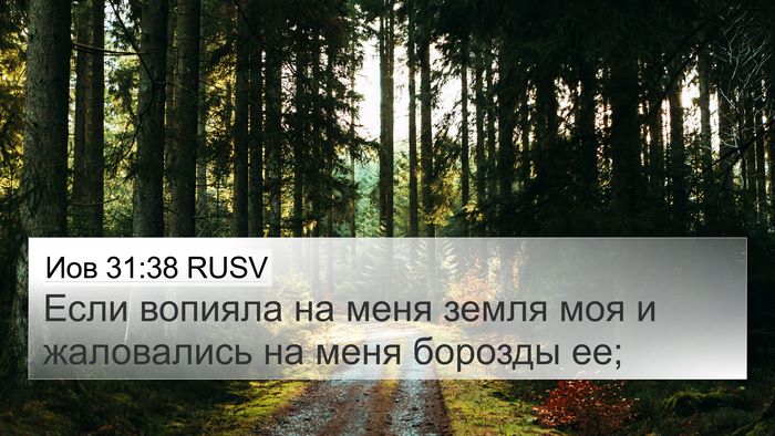 Иов 31:38 RUSV Bible Verse Image