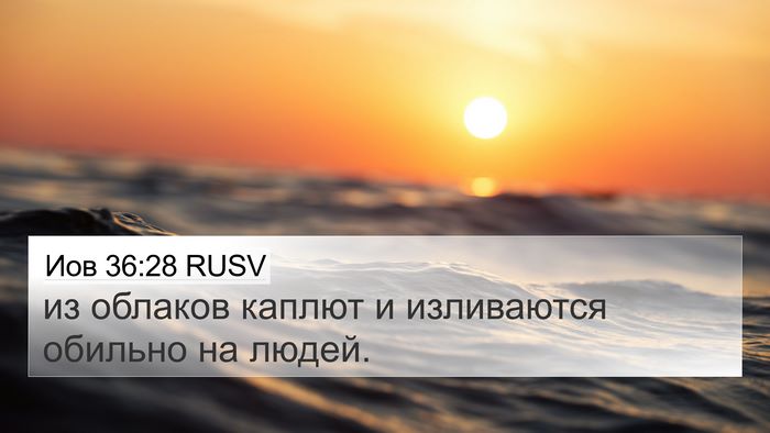 Иов 36:28 RUSV Bible Verse Image