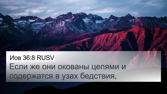 Иов 36:8 RUSV Bible Verse Image
