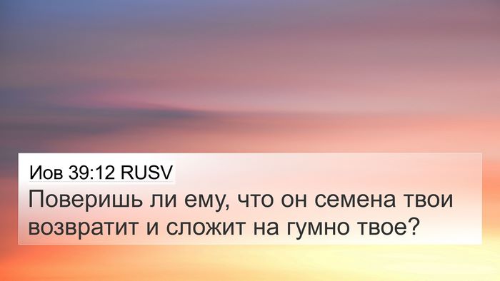 Иов 39:12 RUSV 4K Wallpaper - Поверишь ли ему, что он - 4K Wallpaper Bible Verse