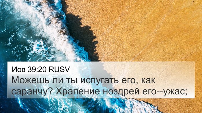 Иов 39:20 RUSV 4K Wallpaper - Можешь ли ты испугать его, - 4K Wallpaper Bible Verse