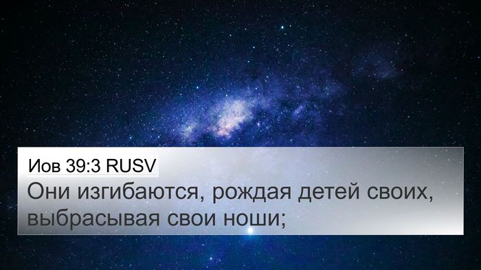 Иов 39:3 RUSV 4K Wallpaper - Они изгибаются, рождая - 4K Wallpaper Bible Verse