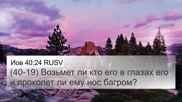 Иов 40:24 RUSV 4K Wallpaper - (40-19) Возьмет ли кто его в - 4K Wallpaper Bible Verse