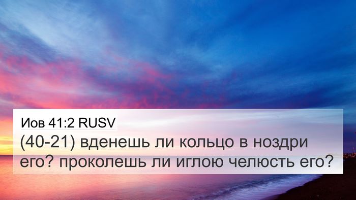 Иов 41:2 RUSV 4K Wallpaper - (40-21) вденешь ли кольцо в - 4K Wallpaper Bible Verse