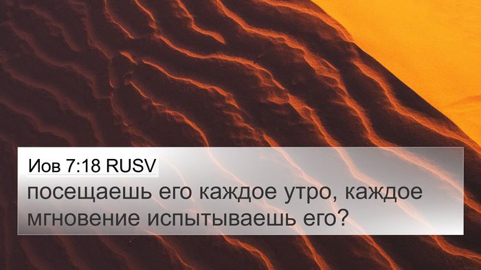 Иов 7:18 RUSV 4K Wallpaper - посещаешь его каждое утро, - 4K Wallpaper Bible Verse
