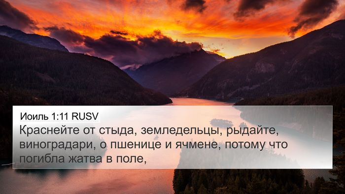 Иоиль 1:11 RUSV Bible Verse Image