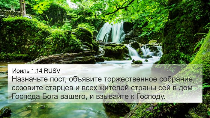 Иоиль 1:14 RUSV Bible Verse Image